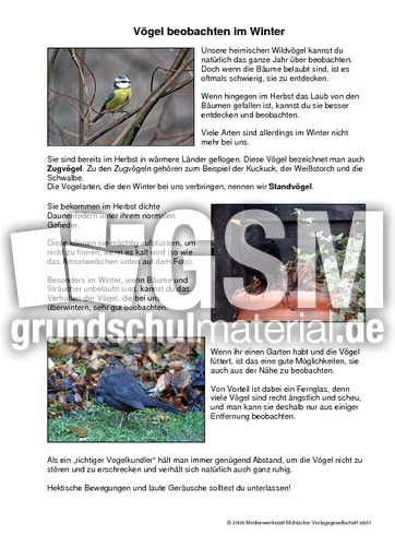 Vögel-beobachten.pdf